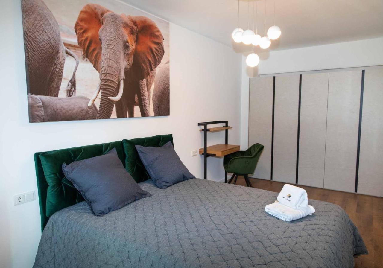 Bg Luximmo Apartments Клуж-Напока Экстерьер фото